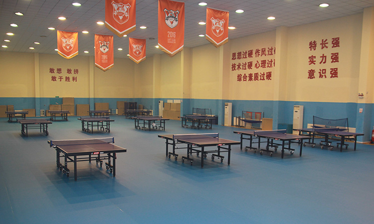 天速山东鲁能乒乓球队俱乐部球馆